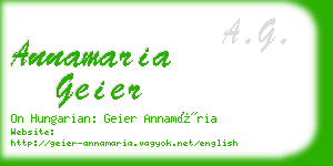 annamaria geier business card